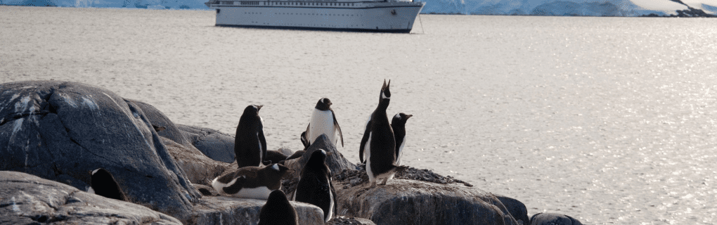 Exploring the Poles: How Quark Expeditions Leads the Way in Innovative Polar Itineraries