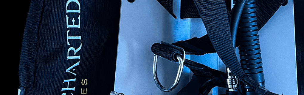 Exploring the Uncharted: A Deep Dive into Viking Expeditions` Unique Itineraries and Destinations