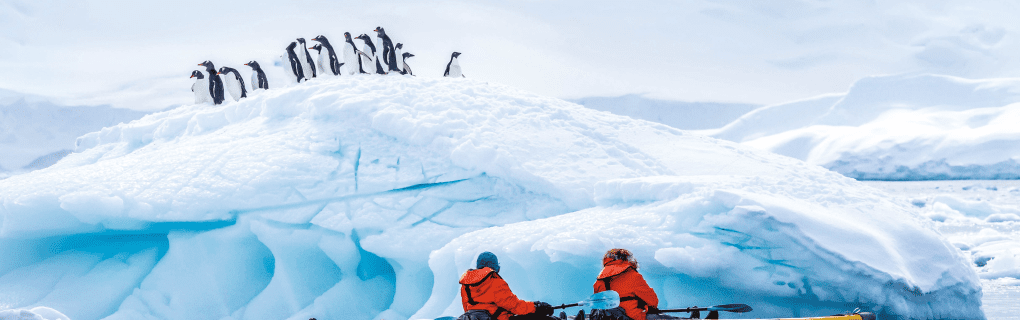 Exploring the Uncharted: Why Lindblad Expeditions is the Best for Visiting Antarctica