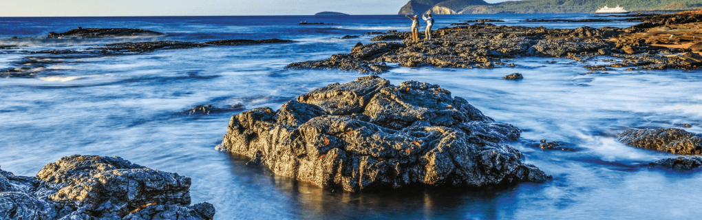 Exploring the Uncharted: Why Lindblad Expeditions Offers the Best Antarctica Cruise Adventures