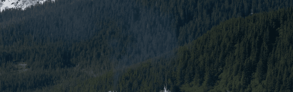 Exploring the Wonders of Alaska with Holland America: Why Their Itineraries Stand Out