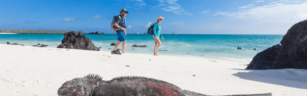 Exploring the Wonders of Galapagos: Why MT Sobek Offers the Ultimate Island Adventure