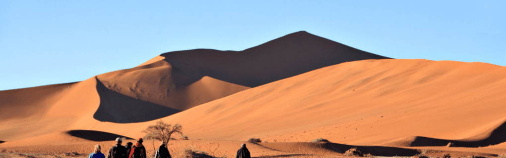 Exploring the World in Luxury: Inside TCS World Travel`s Exclusive Private Jet Expeditions to Remote Destinations