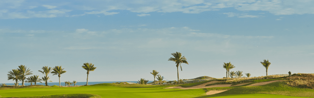 Exploring the World in Luxury: TCS World Travel`s Private Jet Expeditions to Iconic Destinations