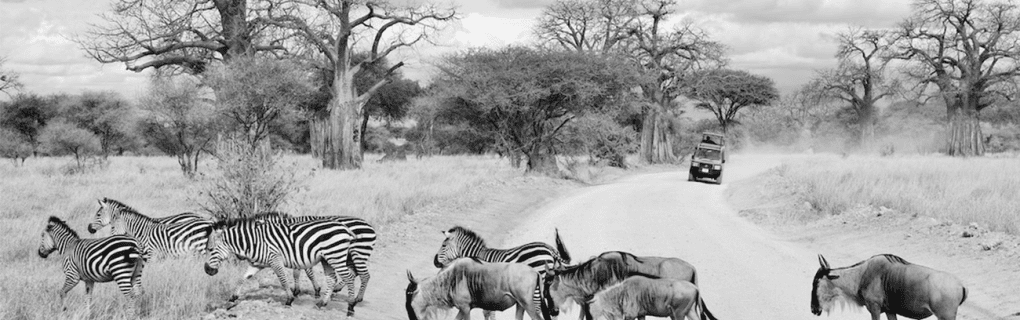 Exploring the World`s Hidden Gems: Inside Tauck`s Exclusive `Yellow Roads` Land Journeys in Europe