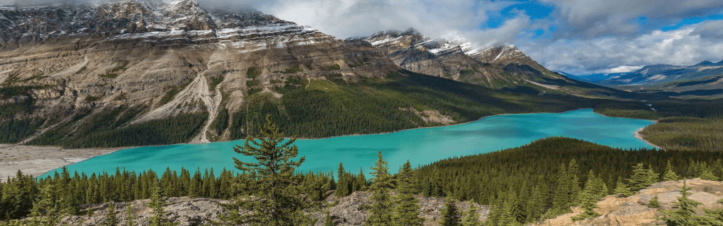 Exploring the World`s Hidden Gems: Inside Tauck`s Exclusive `Yellow Roads` Land Journeys in Europe