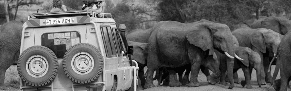 Exploring the World`s Hidden Gems: Inside Tauck`s Exclusive `Yellow Roads` Land Journeys in Europe