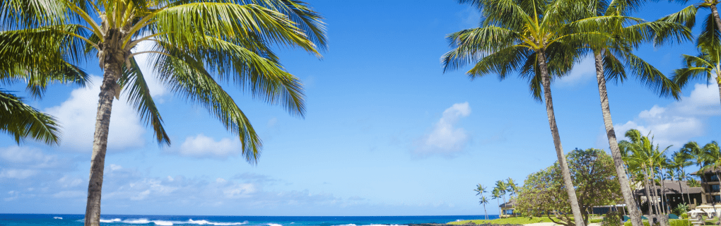 Hawaii Military Travel Guide: Discounts & Attractions