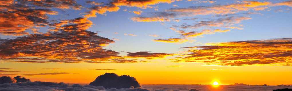 Hawaii Ocean Safety: Understanding Warning Flags & Signs