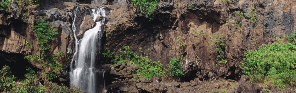 Hawaii Ocean Safety: Understanding Warning Flags & Signs