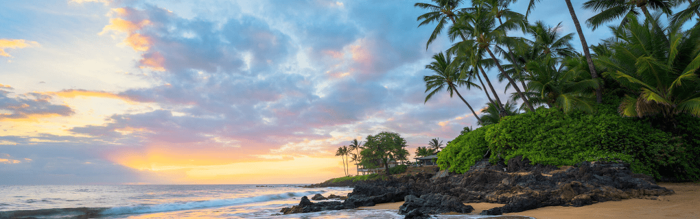 Hawaii Whale Watching Guide: Best Times & Tour Companies