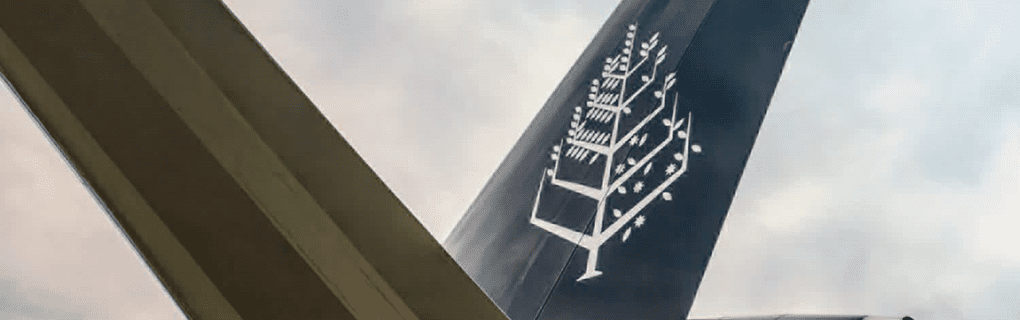 How TCS World Travel`s Private Jet Expeditions Offer the Ultimate in Luxury and Access to Exclusive Destinations Worldwide