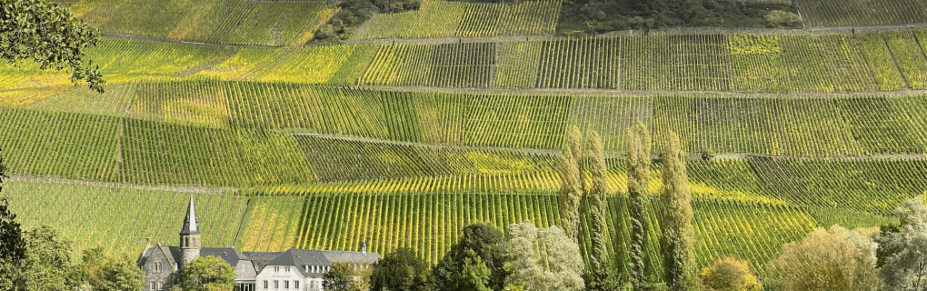 How to Choose the Best Cruise for Your Budget