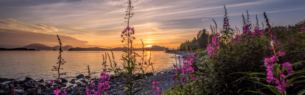 How to Choose the Right Cruise Length for Your Vacation