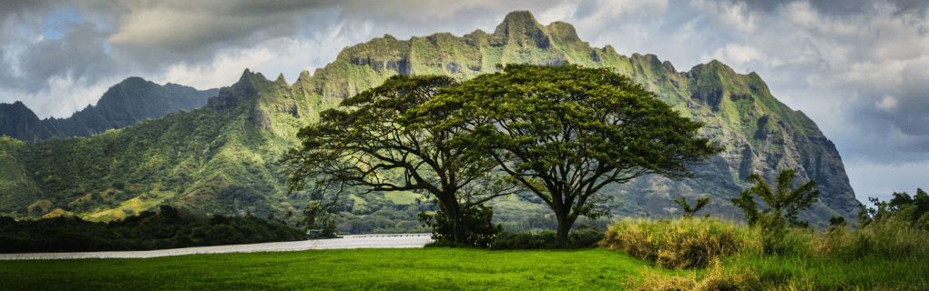 How to Respect Hawaiian Culture: Dos and Don`ts for Visitors