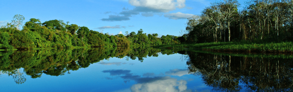 Immersive Amazon Adventures: Exploring Aqua Expeditions` Luxury Amazon River Cruises