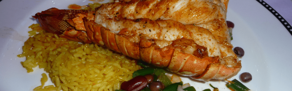 Inside Disney`s Magical Rotational Dining: How It Elevates Your Cruise Adventure