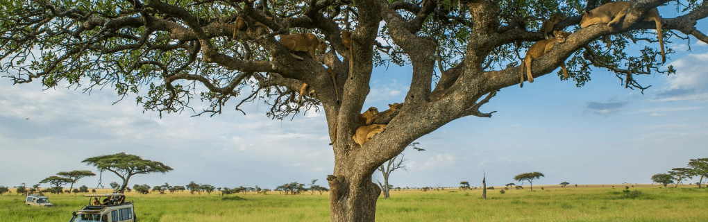 Inside G Adventures` National Geographic Journeys: Elevating Travel with Expert Guides and Immersive Cultural Encounters