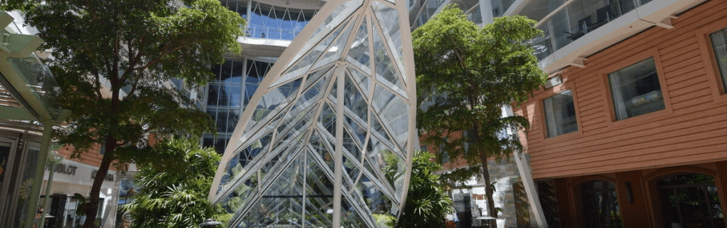 Inside Royal Caribbean`s Oasis Class: Unleashing the Ultimate Adventure at Sea
