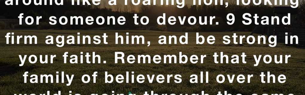 Insider Review: Why Devour Tours Stands Out as the Ultimate Food Tour Partner in Barcelona