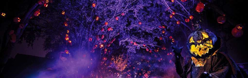 Insider Tips for Planning the Perfect Universal Orlando Resort Vacation with Universal Parks & Resorts Vacations