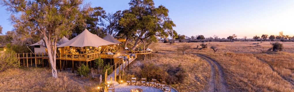 Insider`s Guide to Luxury African Safaris with Micato: Why They`re the Top Choice for Discerning Travelers