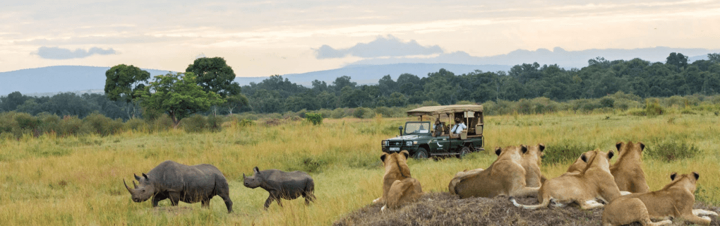 Insider`s Guide to Luxury African Safaris with Micato: Why They`re the Top Choice for Discerning Travelers