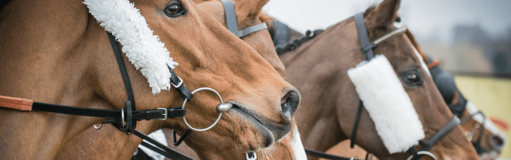 Insider`s Guide to Luxury Sports Travel: How Roadtrips Delivers VIP Access to the World`s Most Prestigious Events