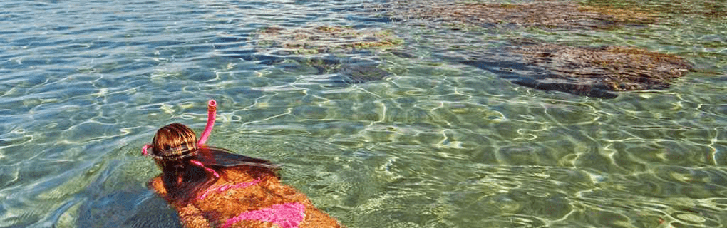 Local`s Guide to Hawaiian Festivals: 2025 Event Calendar