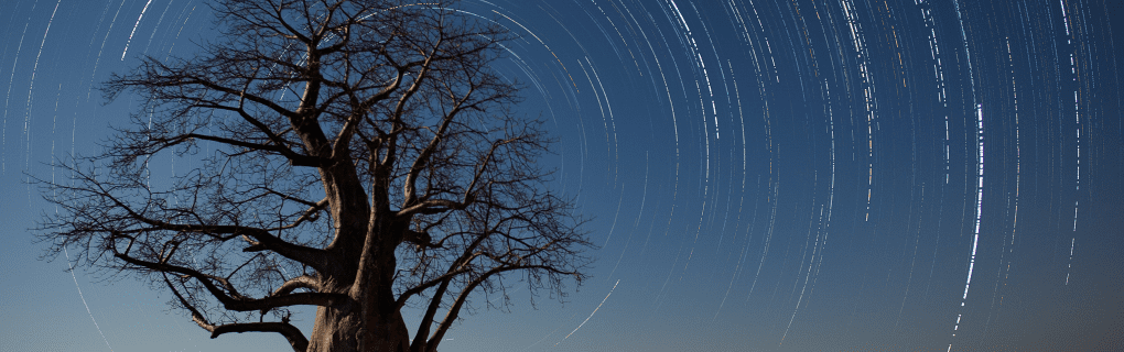 Tailor-Made Travel with Goway: How Their Expert-Designed Itineraries Elevate Your Journey