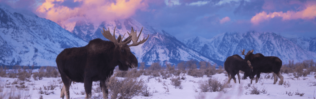 Top Destinations and Savings with United Vacations: A Guide to Their Most Popular Tour Packages