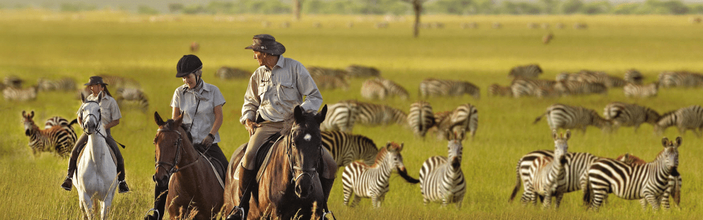 Unique African Safaris with African Travel: Exploring the Hidden Gems of Tanzania and Beyond