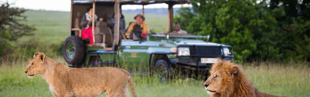 Unique African Safaris with African Travel: Exploring the Hidden Gems of Tanzania and Beyond