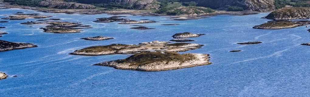 Unpacking the Luxury: A First-Hand Review of the Unparalleled Viking Ocean Cruise Experience