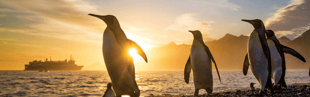 Unveiling the Wonders of Antarctica: A Journey with Lindblad Expeditions