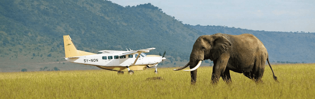 Why Micato Safaris Offers the Most Luxurious African Expeditions: Expert Insights and Itineraries