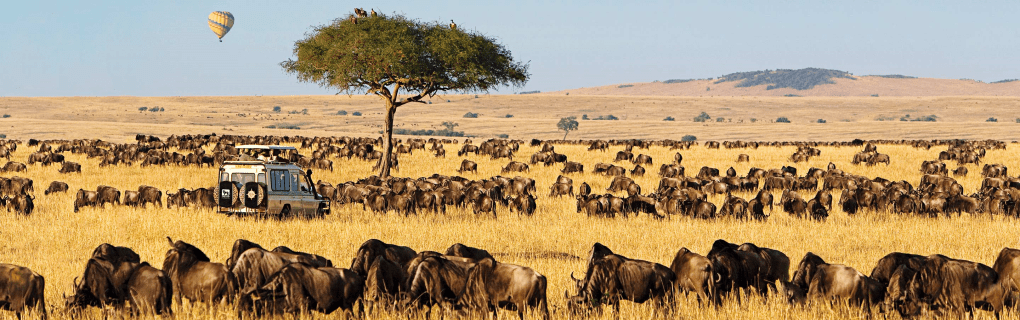 Why Micato Safaris Offers the Most Luxurious African Expeditions: Expert Insights and Itineraries