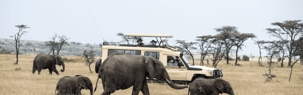 Why Micato Safaris Offers the Ultimate Luxury African Safari Adventure