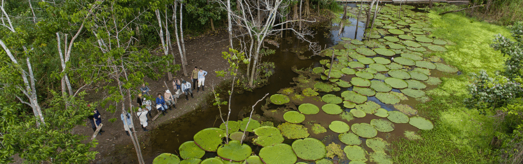 Wildlife Wonders of the Amazon: Exploring Aqua Expeditions` Luxury River Cruises