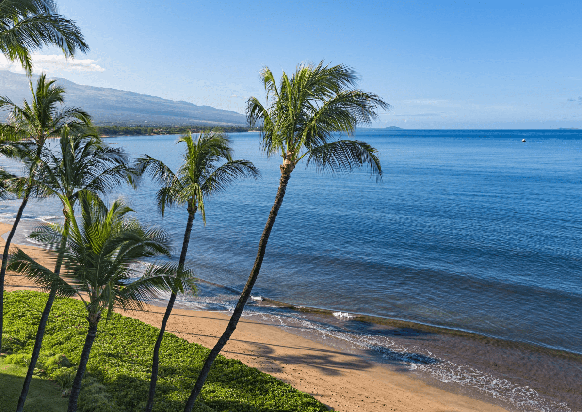 FAQ become a travel agent in hawaii faq