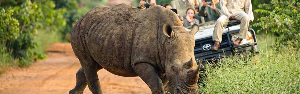 The 10% Rule: How to Build a Marketing Budget for Substantial Growth for Travel Agents