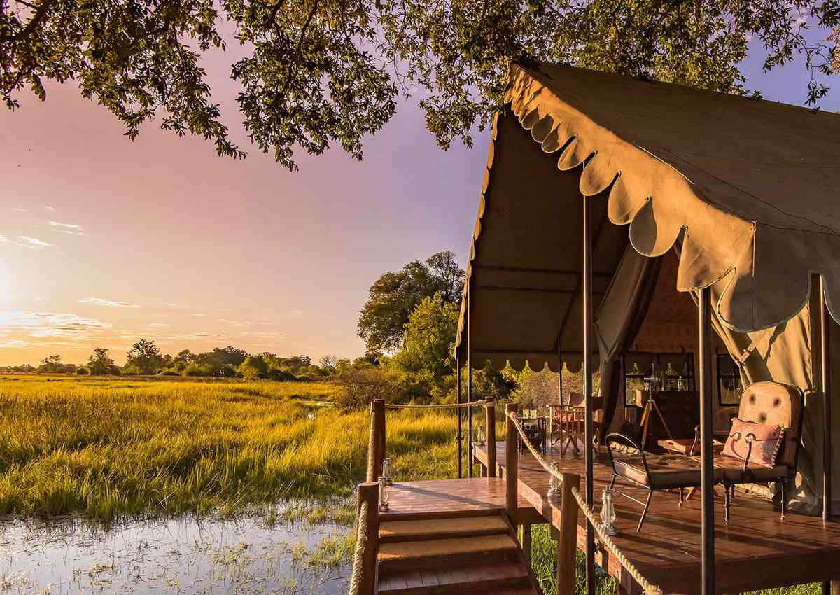 Botswana Safari Travel Agents packages deals