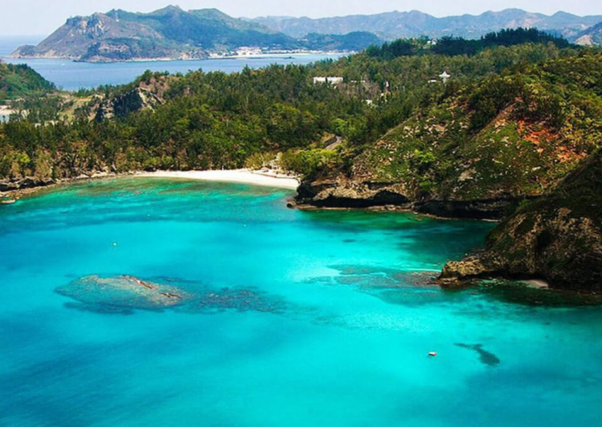 Galapagos Islands Cruise Travel Agents packages deals