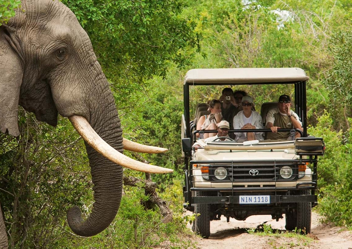 best South Africa Travel Agents packages deals